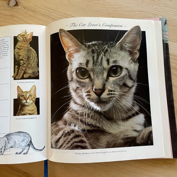 Vintage The Cat Lover’s Companion hardcover book - Picture 5 of 7
